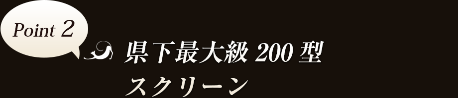 Point2　県下最大級200型スクリーン